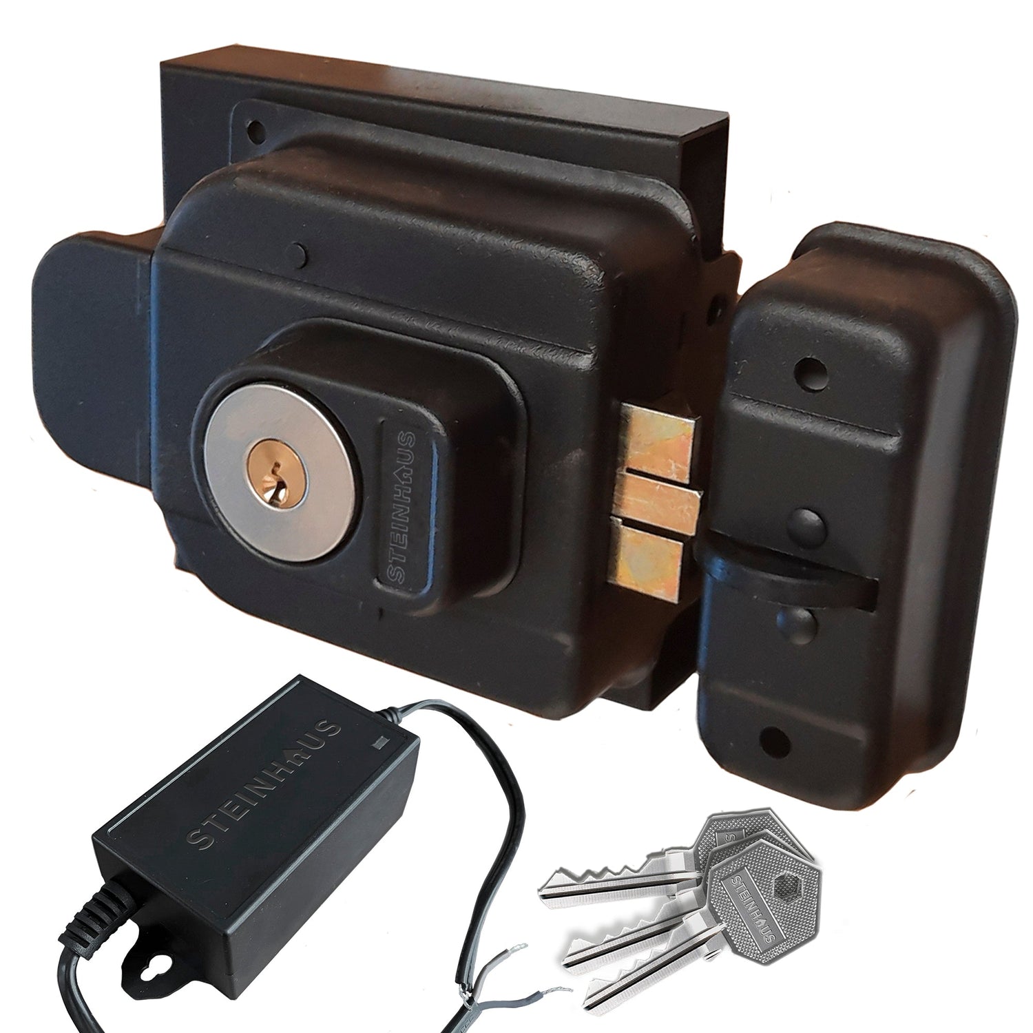 Cerradura Eléctrica Cilindro Incorporado y Caja Transformador